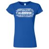Women's Softstyle® T-Shirt Thumbnail